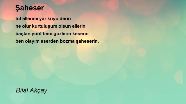 Bilal Akçay