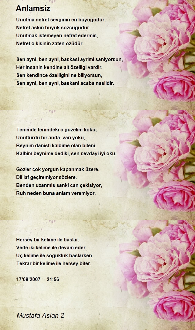 Mustafa Aslan 2
