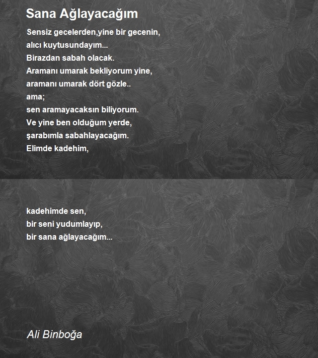 Ali Binboğa