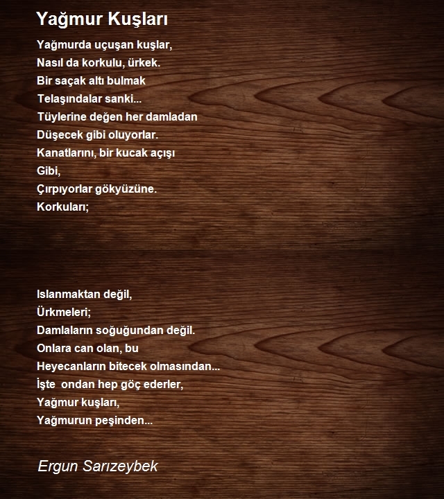 Ergun Sarızeybek