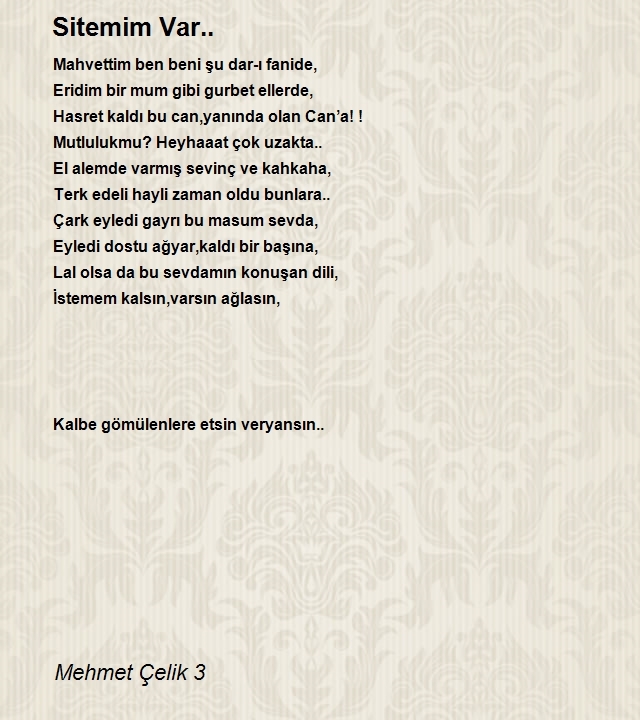 Mehmet Çelik 3