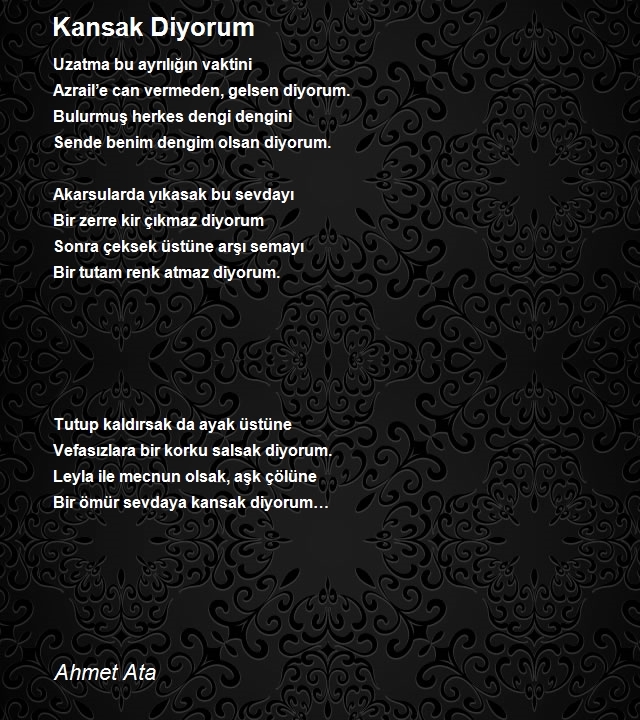 Ahmet Ata