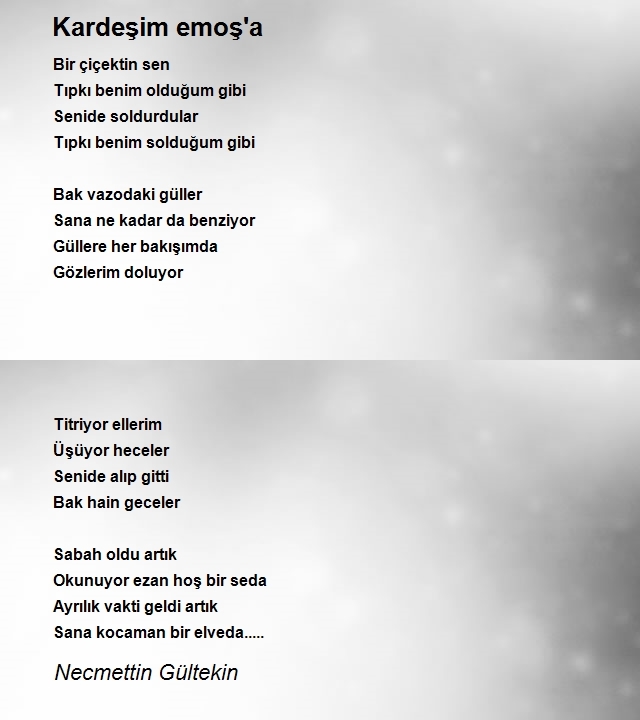 Necmettin Gültekin