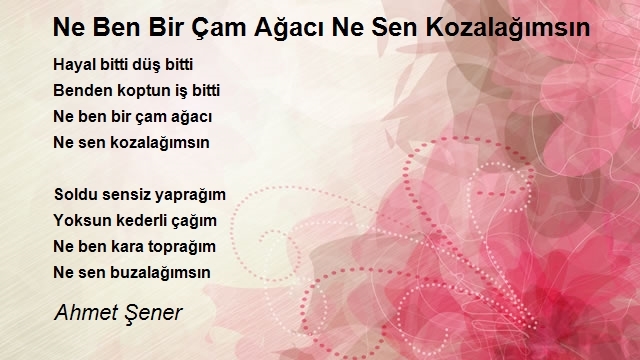 Ahmet Şener