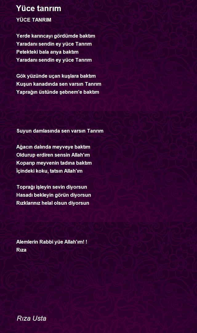 Rıza Usta