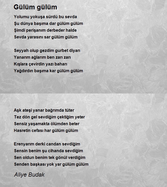 Aliye Budak