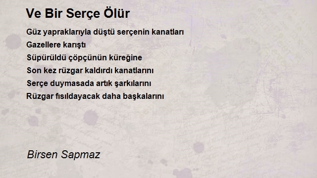 Birsen Sapmaz