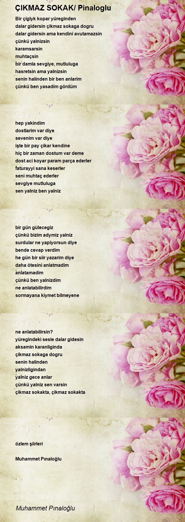 Muhammet Pınaloğlu