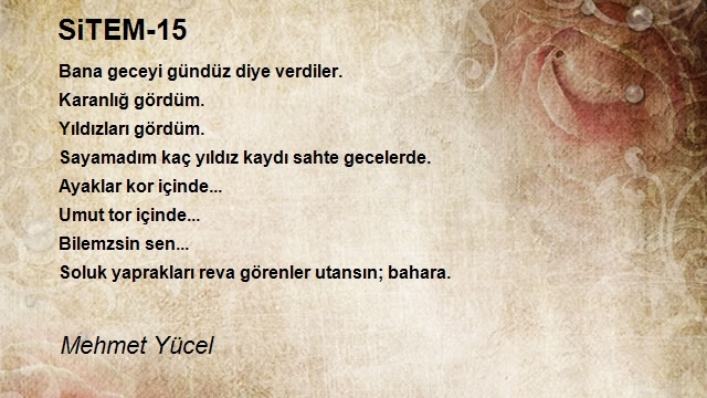 Mehmet Yücel