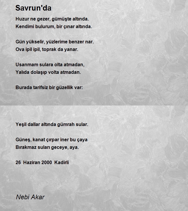 Nebi Akar