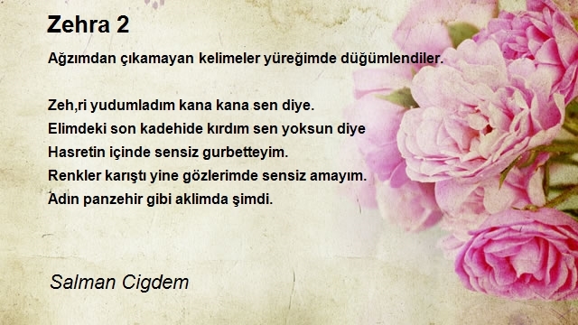 Salman Cigdem