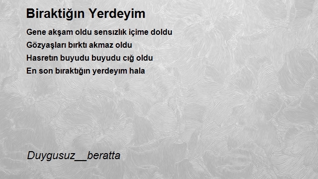 Şair Duygusuz__beratta