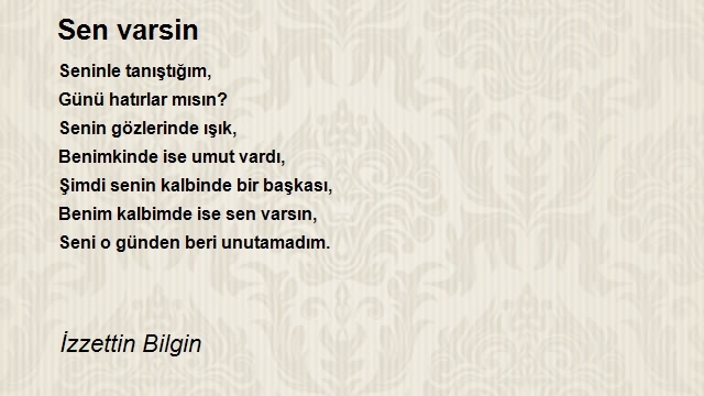İzzettin Bilgin