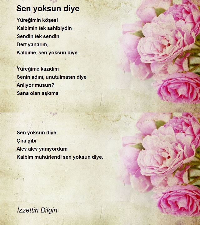 İzzettin Bilgin