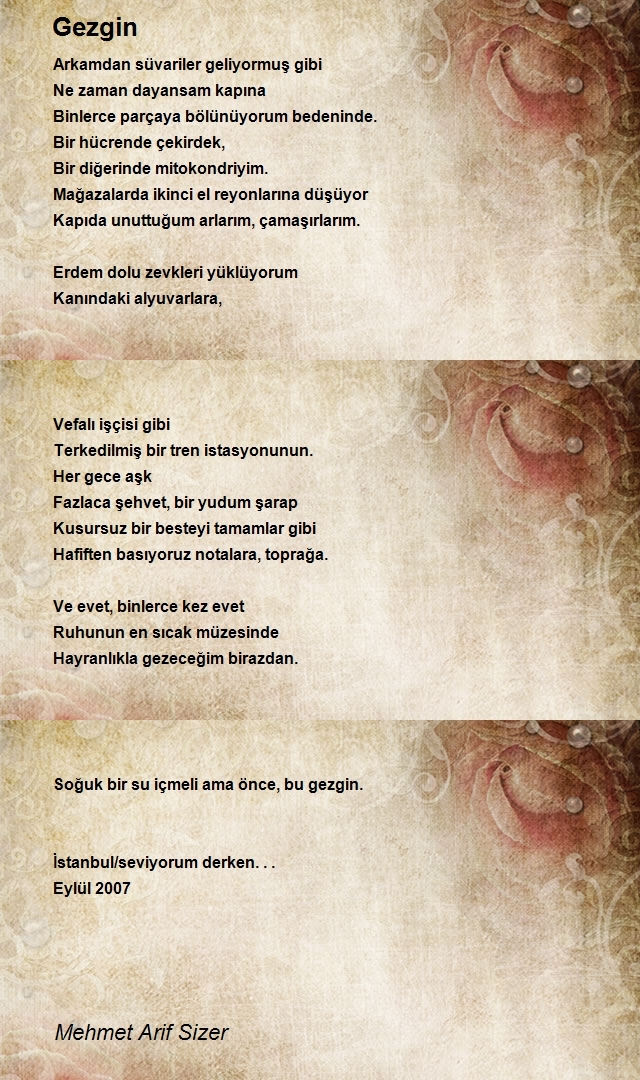 Mehmet Arif Sizer