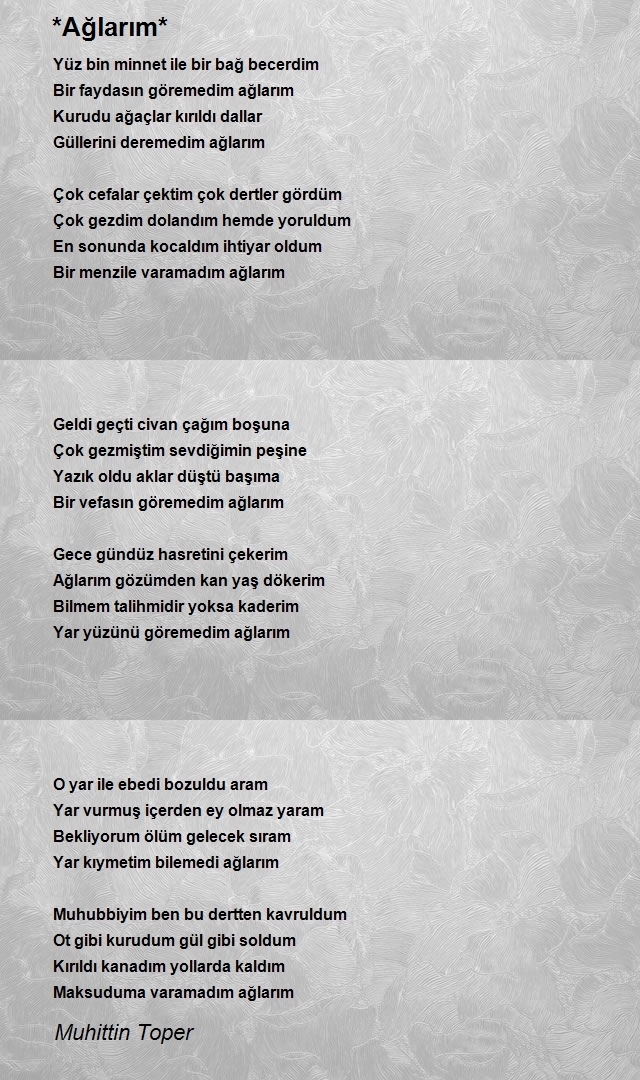 Muhittin Toper