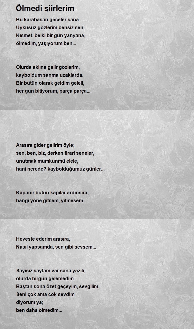 Yasin Demir