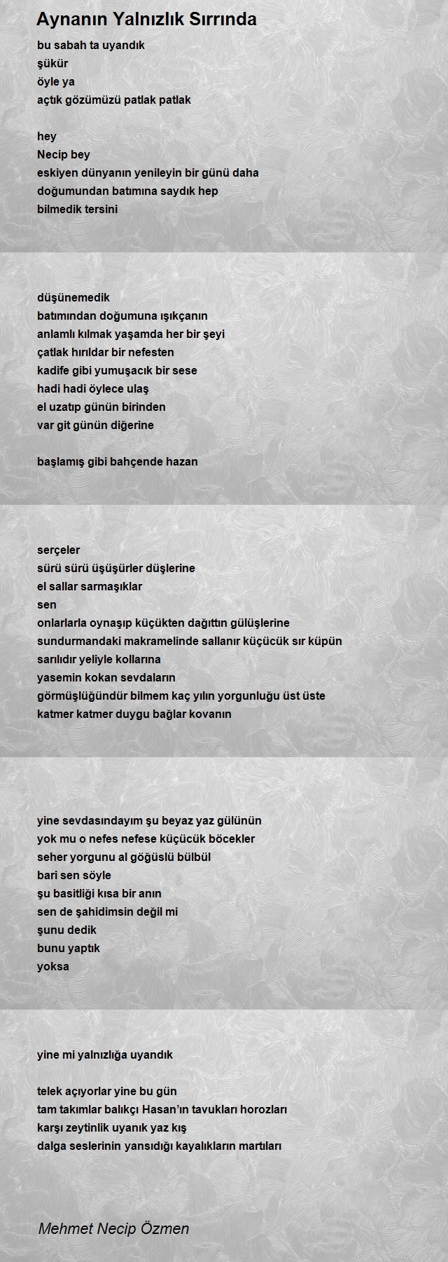 Mehmet Necip Özmen