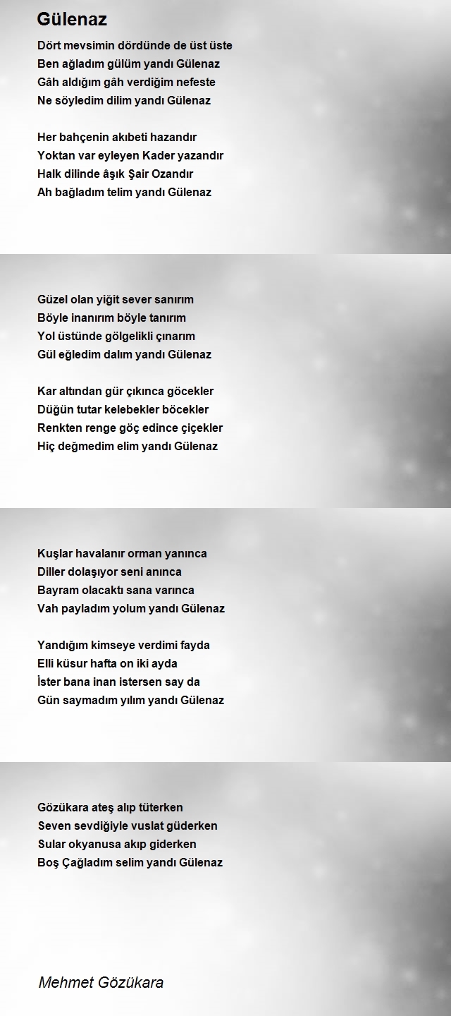Mehmet Gözükara