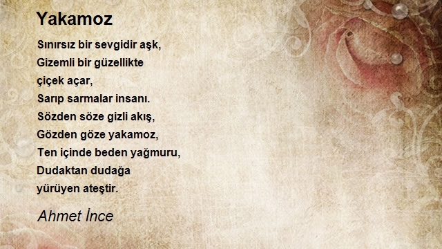 Ahmet İnce