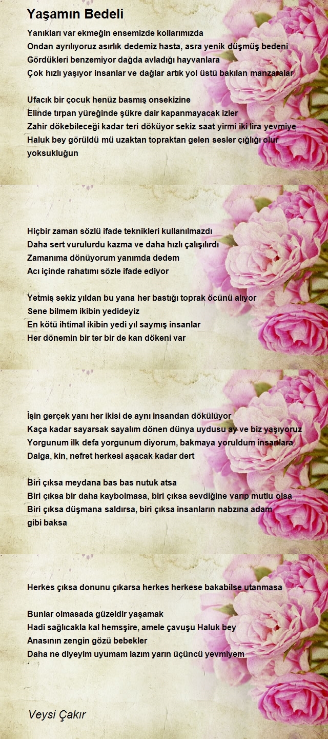 Veysi Çakır