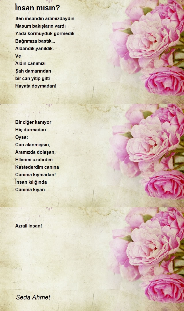 Seda Ahmet