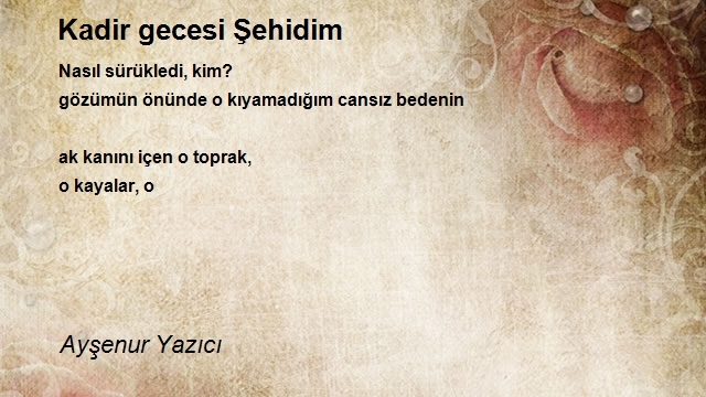 Ayşenur Yazıcı