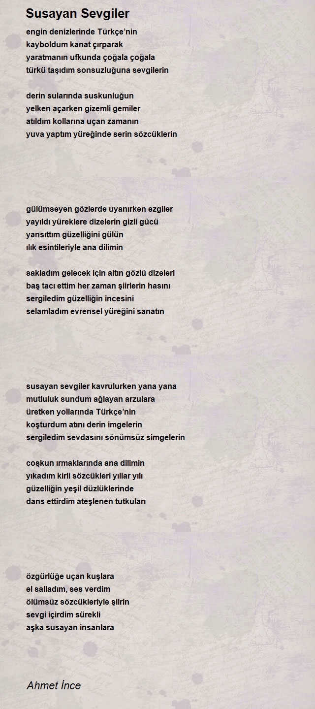 Ahmet İnce