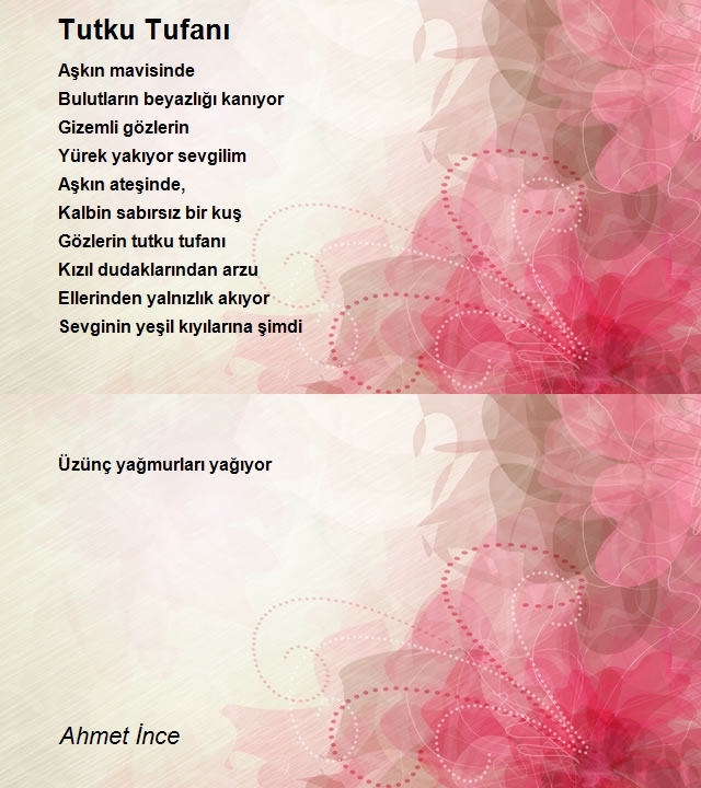 Ahmet İnce