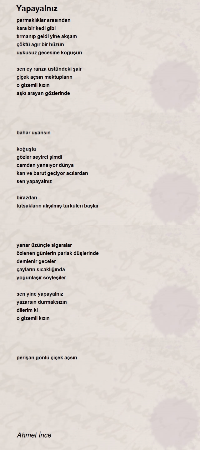 Ahmet İnce