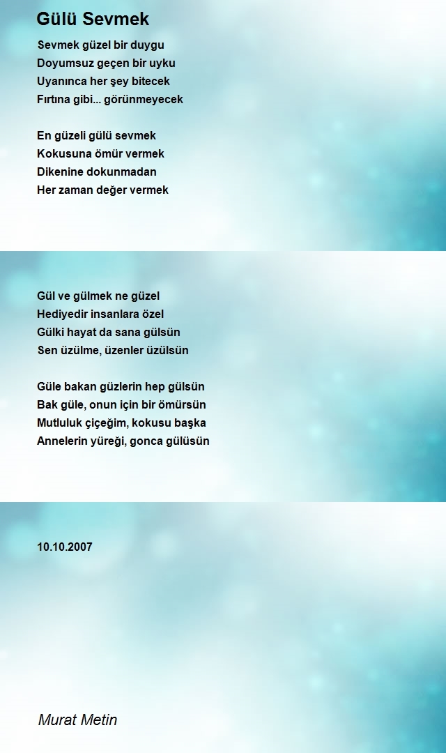 Murat Metin