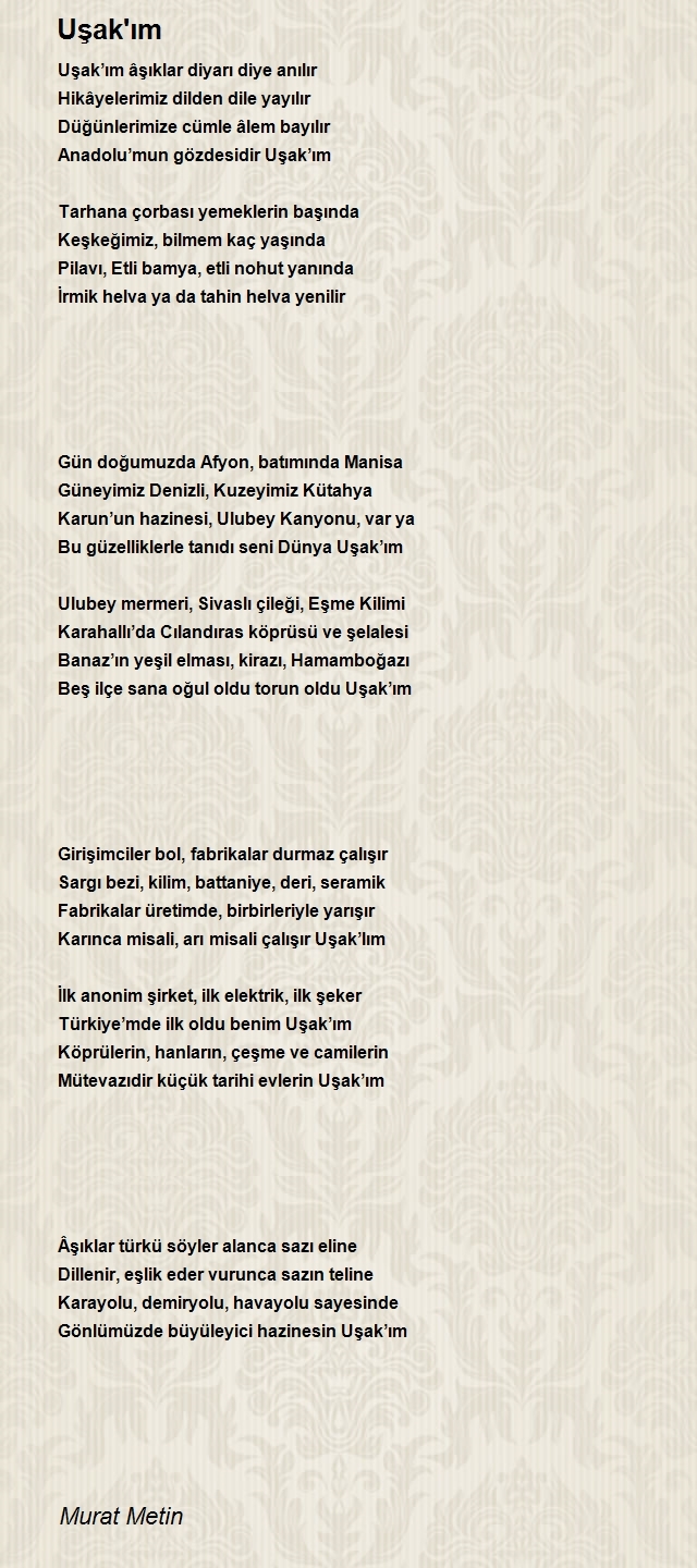 Murat Metin