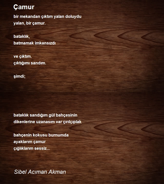 Sibel Acıman Akman