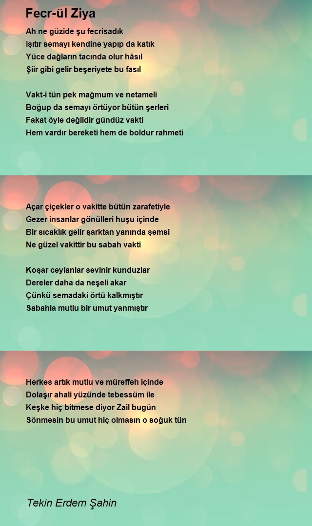 Tekin Erdem Şahin