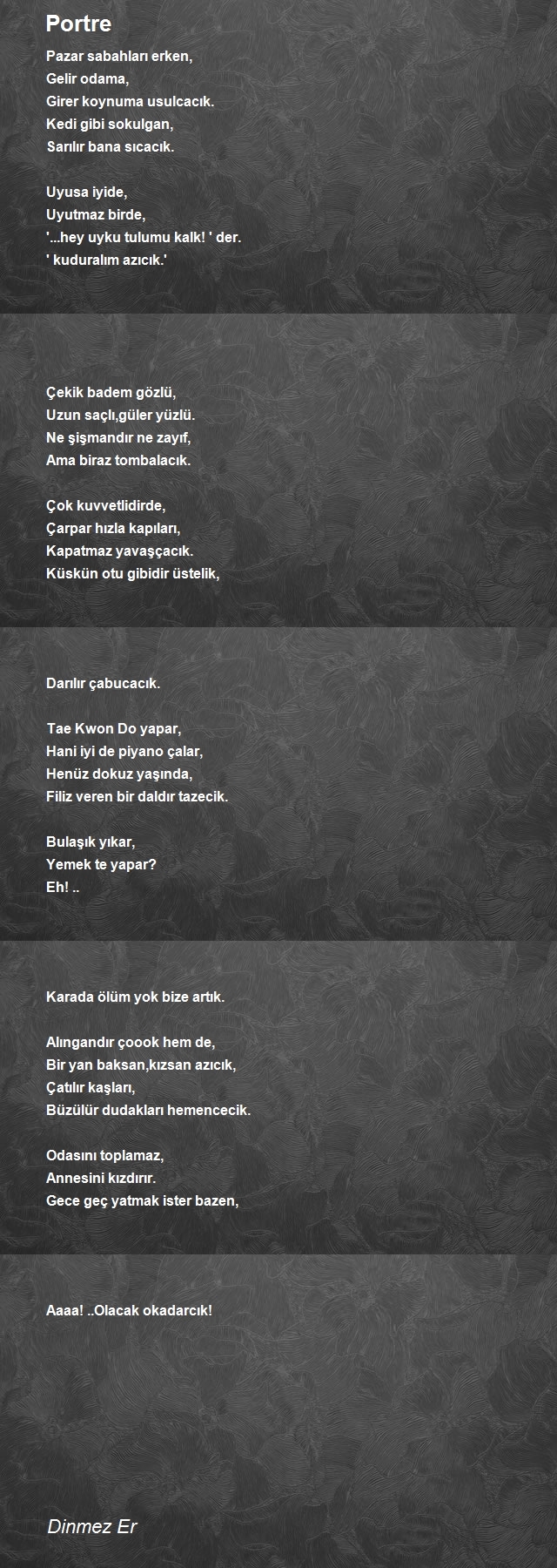 Dinmez Er