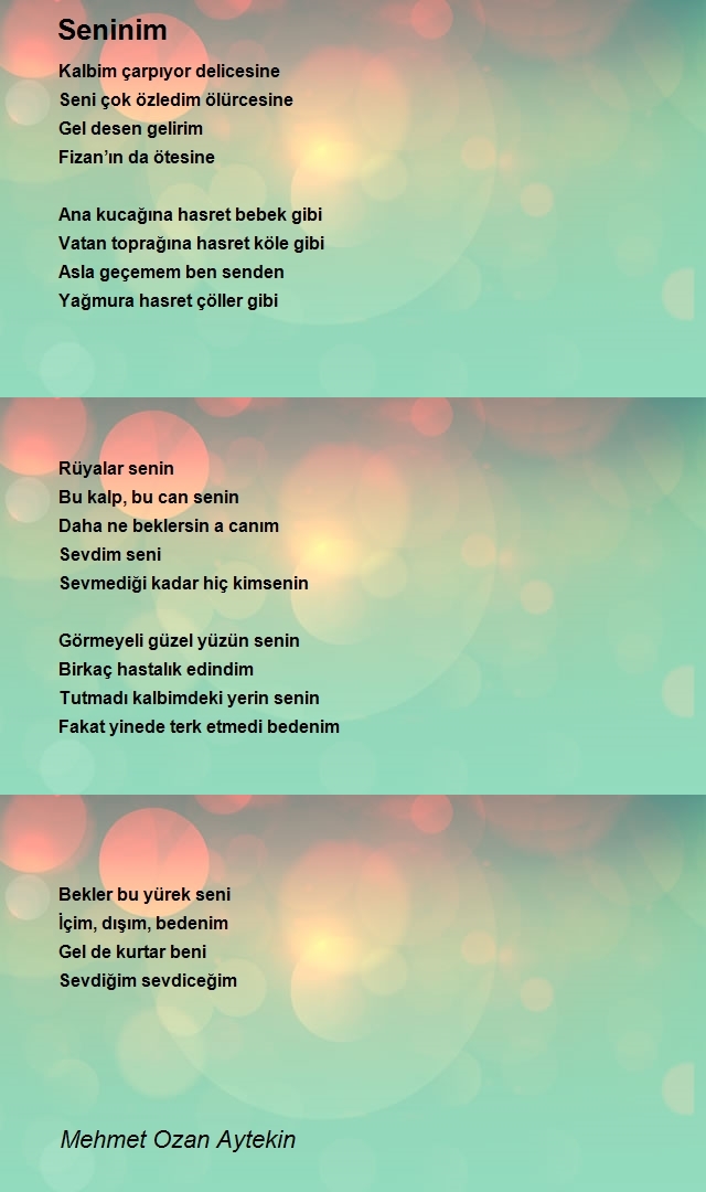 Mehmet Ozan Aytekin