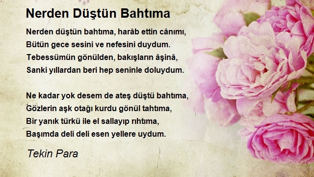 Tekin Para