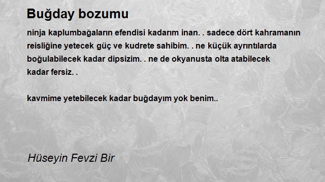 Hüseyin Fevzi Bir