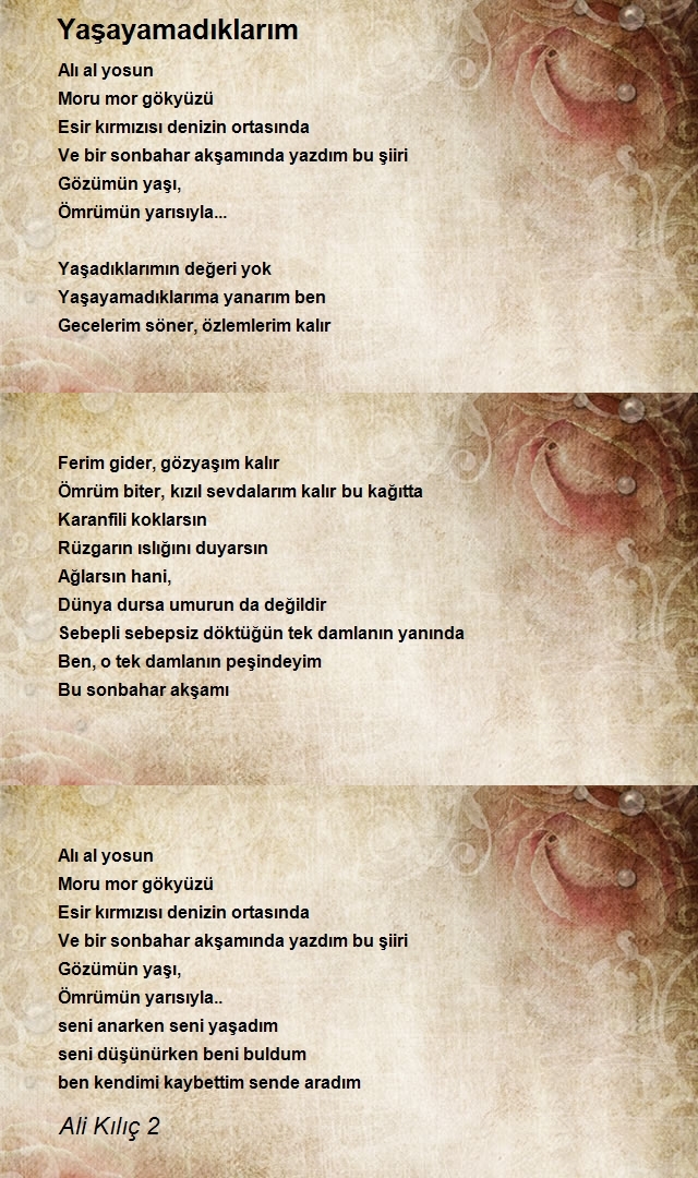Ali Kılıç 2