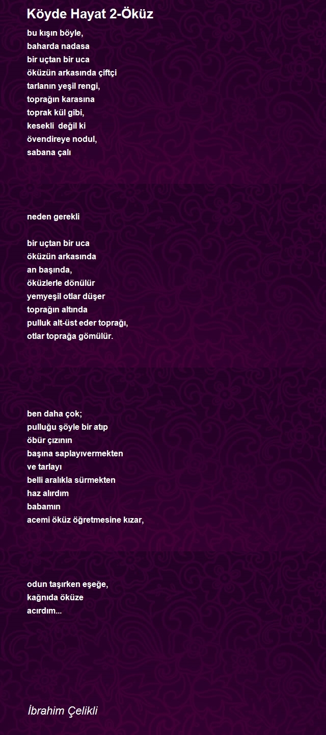 İbrahim Çelikli