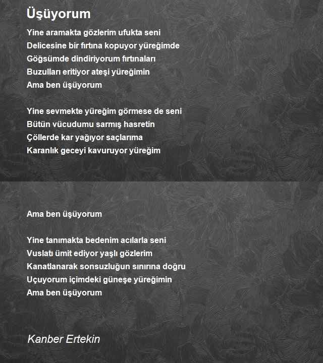 Kanber Ertekin