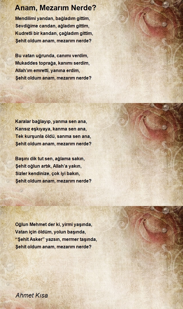 Ahmet Kısa