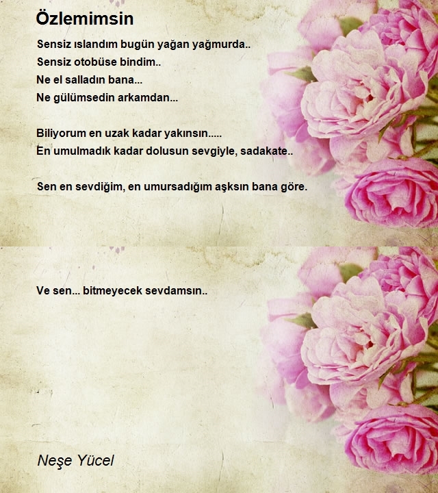 Neşe Yücel