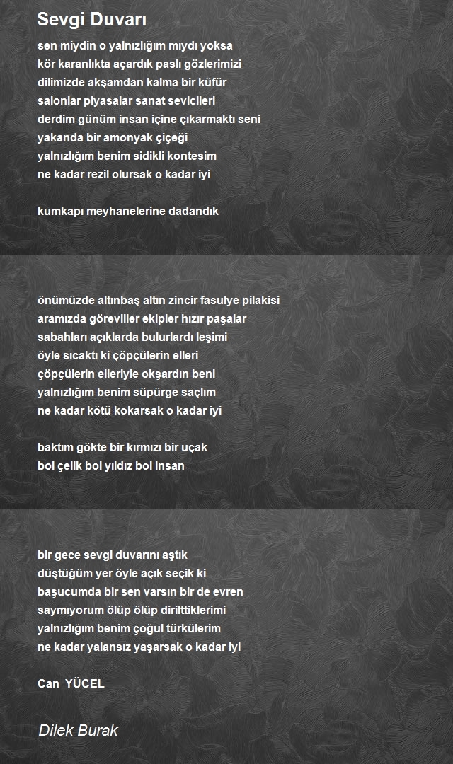 Dilek Burak