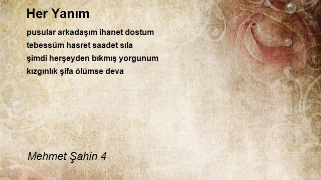 Abdullah Oğuzhan Şahin