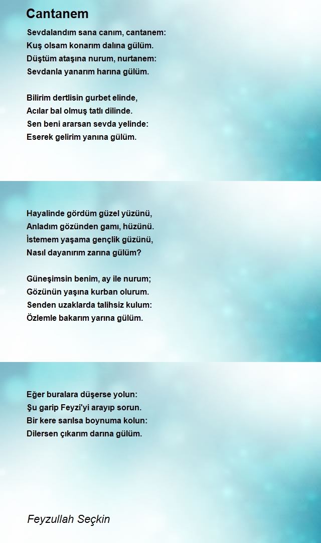 Feyzullah Seçkin