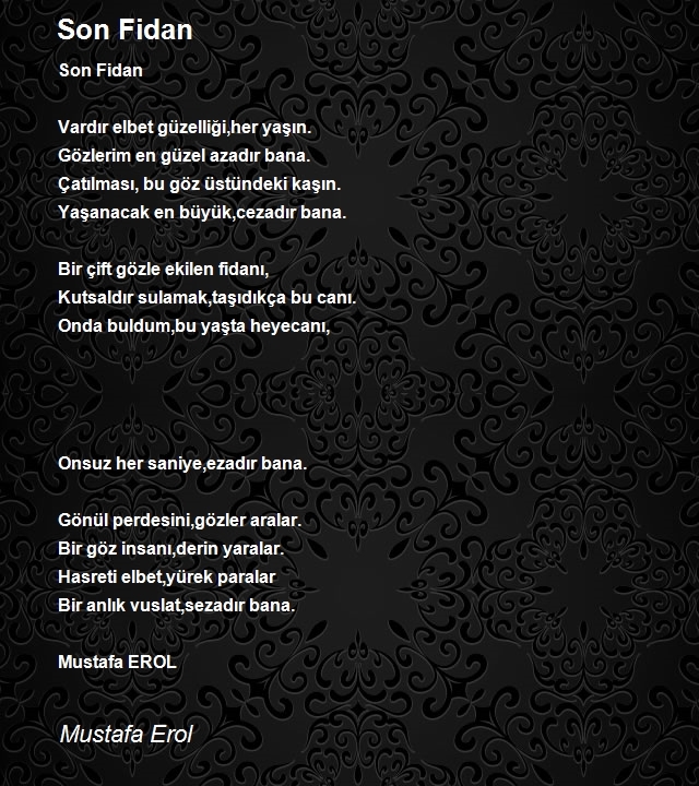 Mustafa Erol