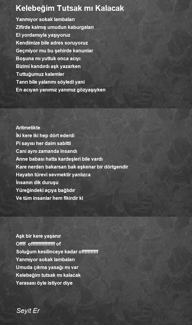 Seyit Er