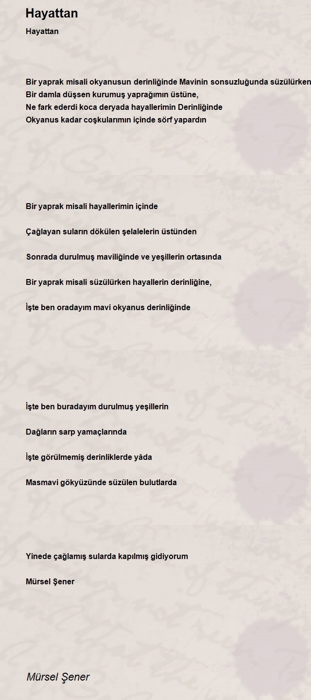 Mürsel Şener