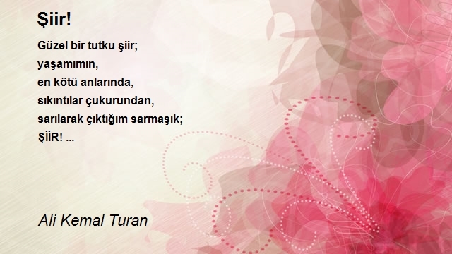 Ali Kemal Turan